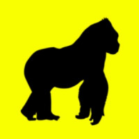 Ты поселилась у душі