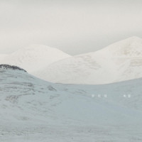 Ты поселилась у душі