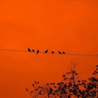 Ты поселилась у душі