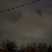 Ты поселилась у душі